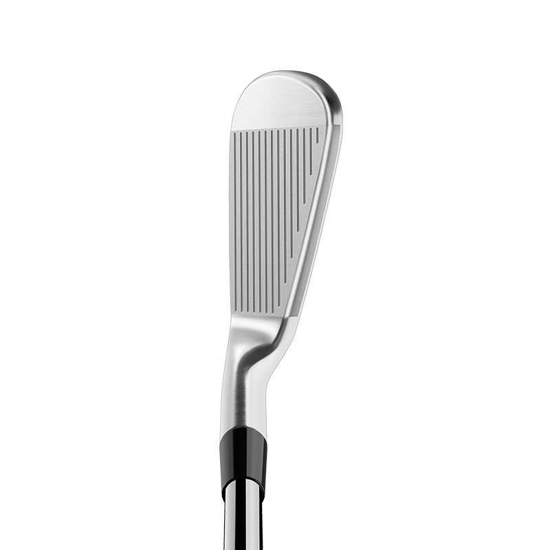 TaylorMade P770 Irons