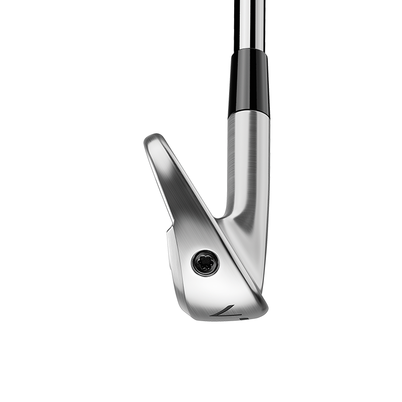 TaylorMade P770 Irons