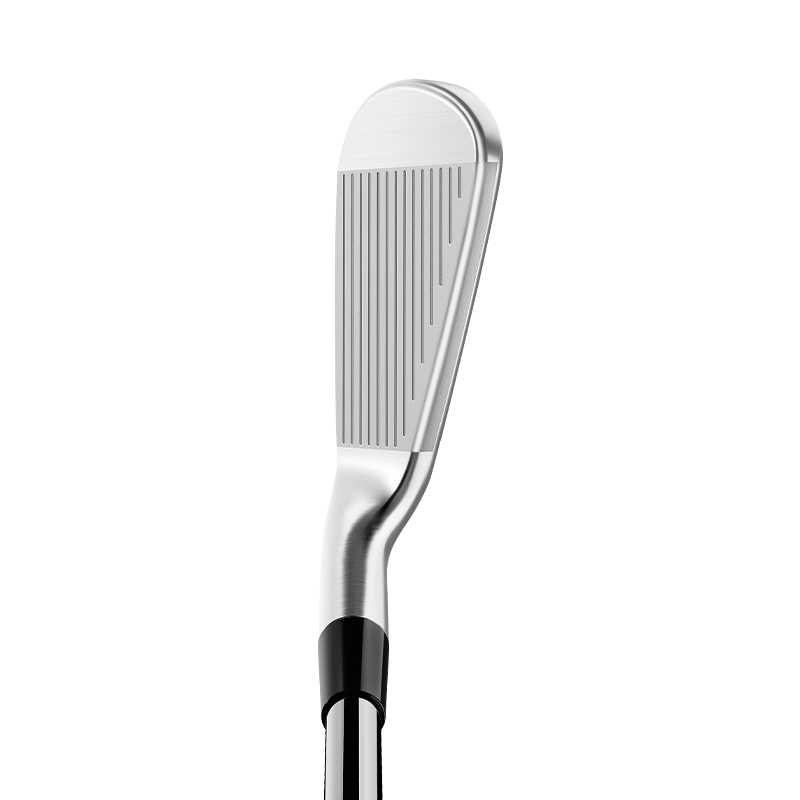 TaylorMade P790 Irons