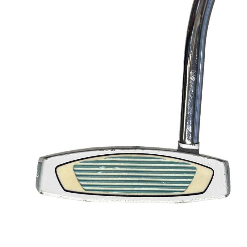 TaylorMade Spider GT Putter