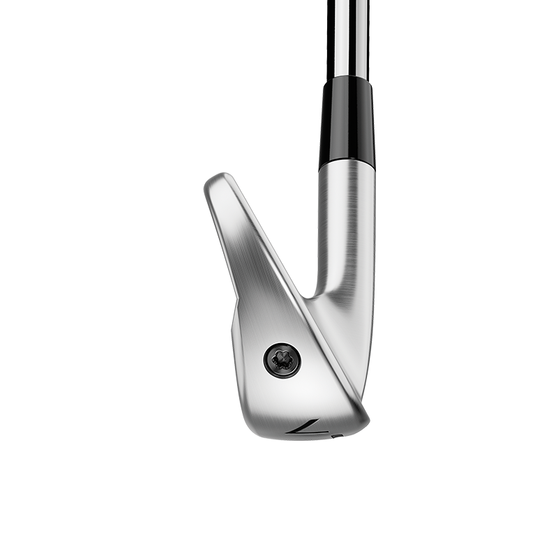 TaylorMade P790 Irons