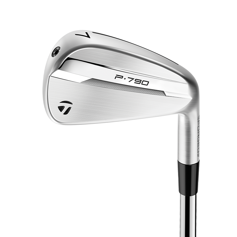 TaylorMade P790 Irons